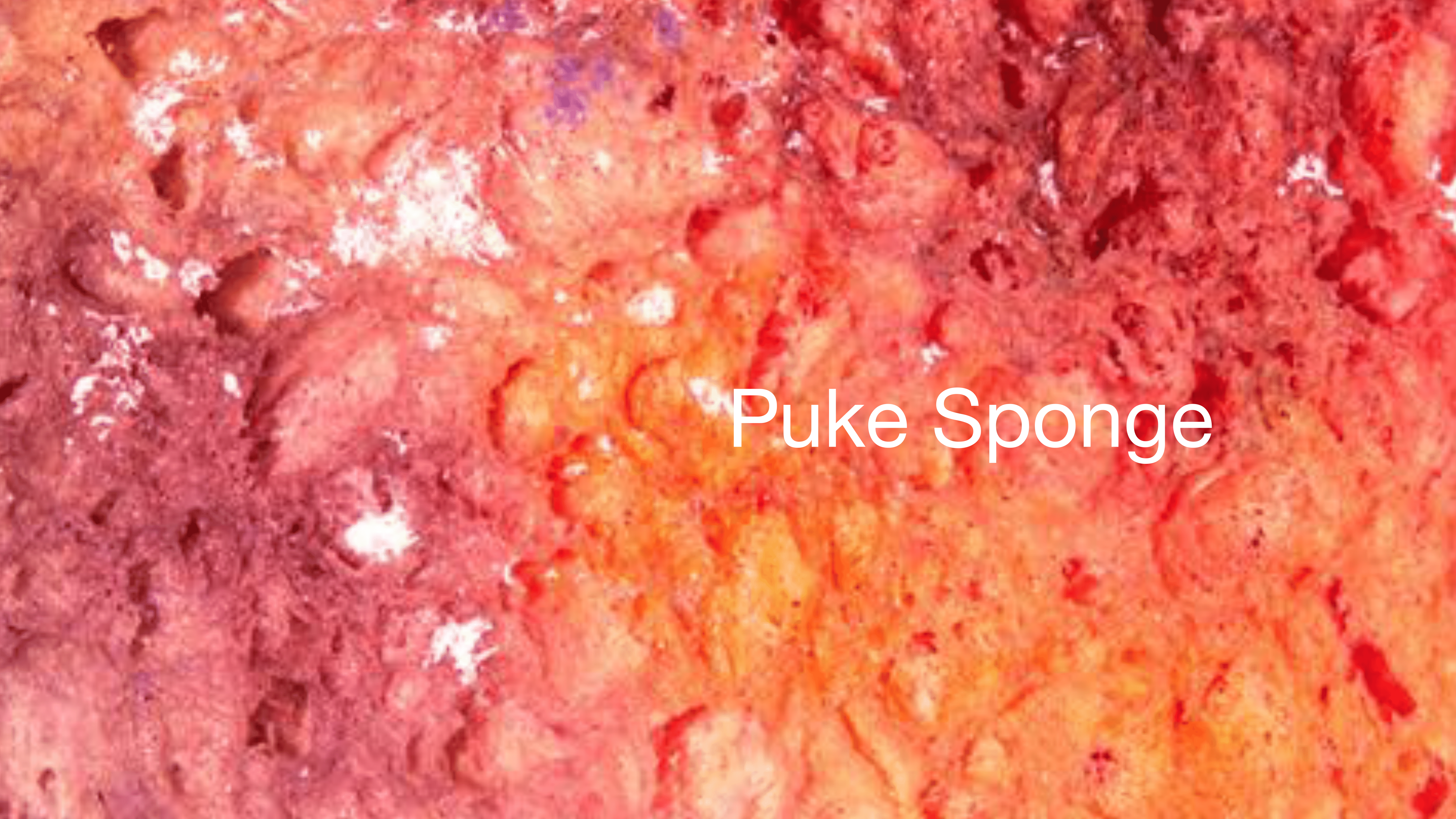 Still_A-Blue-as-Blue-Blue-as-This_daniel_keynote_Boston-College_4.5.22_FINAL-18