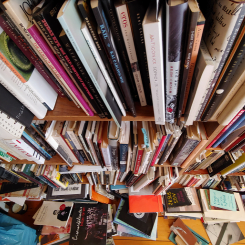 Published books by Daniel Brock Johnson.